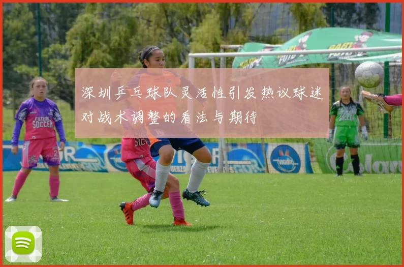 深圳乒乓球队灵活性引发热议球迷对战术调整的看法与期待