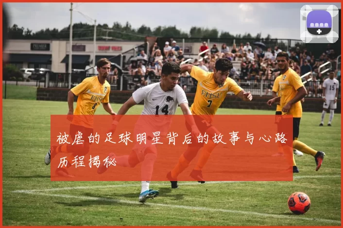被虐的足球明星背后的故事与心路历程揭秘